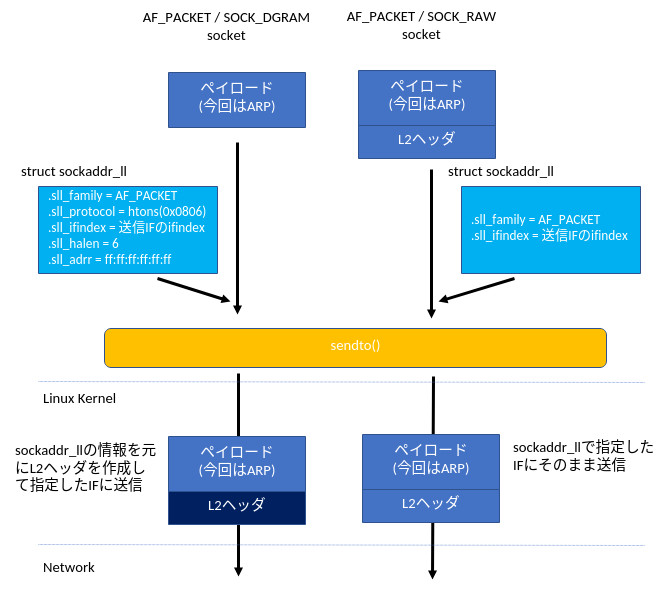 AF_PACKET / SOCK_DGRAM と AF_PACKET / SOCK_RAW の違い