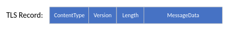 TLS Recordの構造
