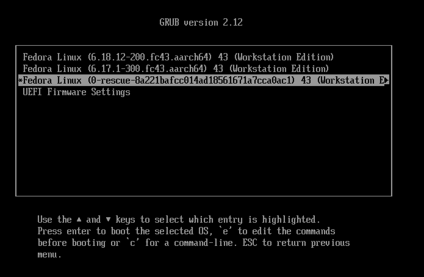 Rescueカーネルでの起動